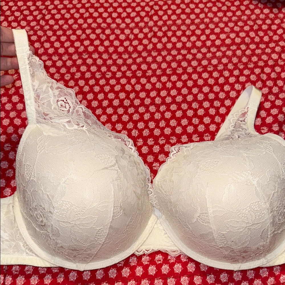 Torrid Bra